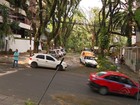 Rua 'mais bela do mundo' foi devastada pelo vento em Porto Alegre