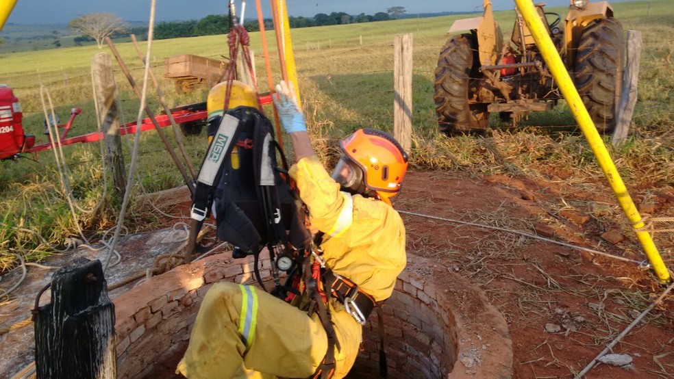 Bombeiros utilizaram técnicas de salvamento para retirar boi de poço caipira  (Foto: Corpo de Bombeiros/Cedida)