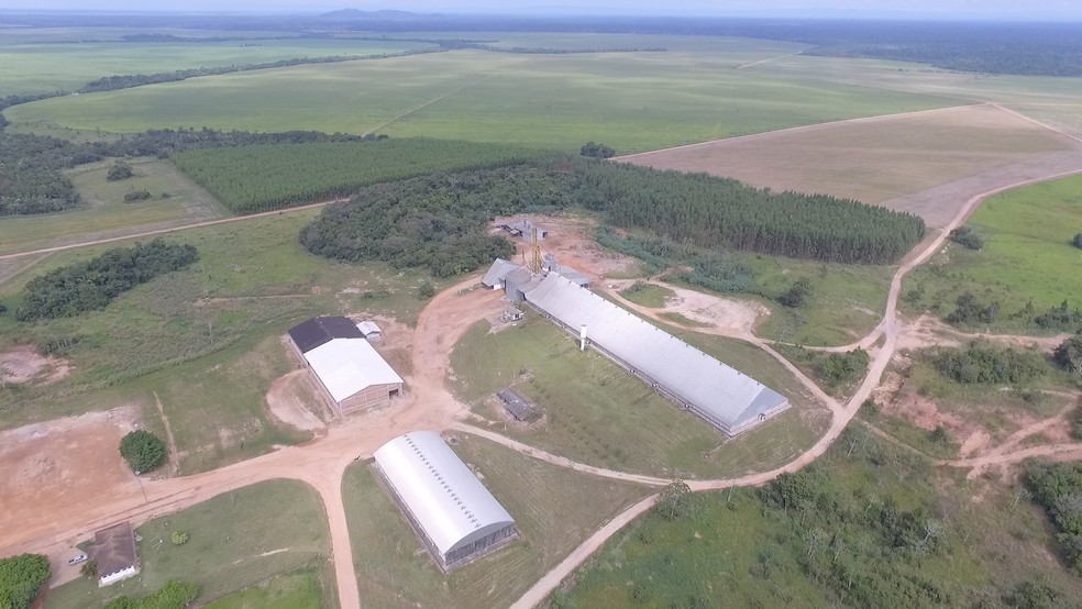 Fazendas que serão leiloadas produzem grãos e tem criação de gado (Foto: Lut Leilões/ Divulgação)