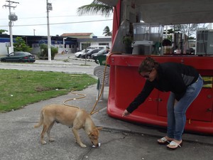 cadela é alimentada em Cabo Frio (Foto: Heitor Moreira/G1)