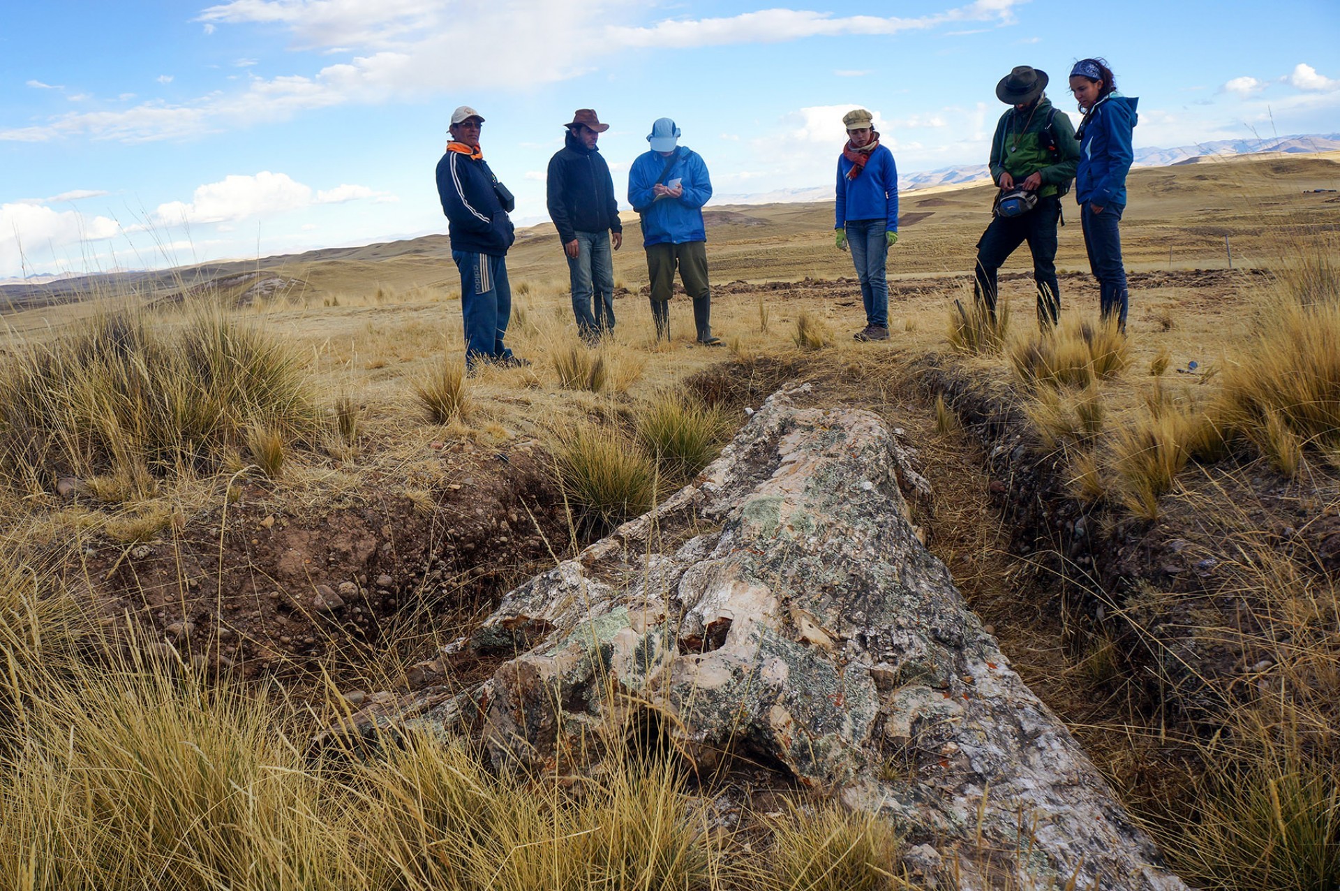 Tronco de árvore no Peru mostra mudanças climáticas dos últimos 10 milhões de anos (Foto: Rodolfo Salas Gismondi/Smithsonian Tropical Research Institute)