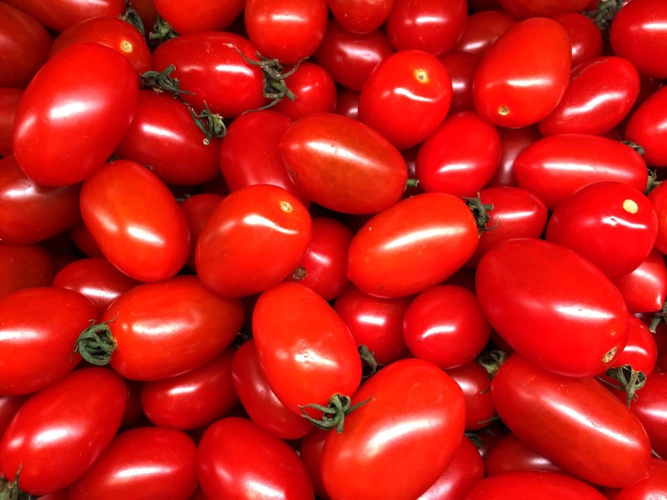 tomate-cereja-tomatinho (Foto: Max Pixel/Creative Commons)