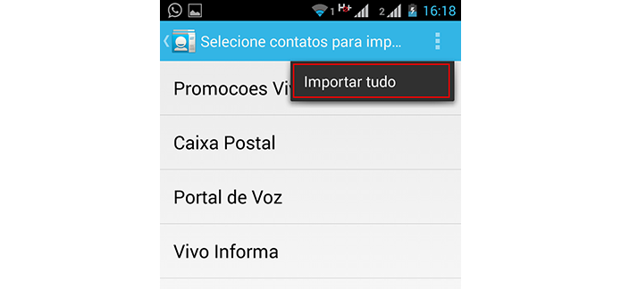 Importe tudo ou somente os contatos que desejar (Foto: Reprodução/Paulo Alves)