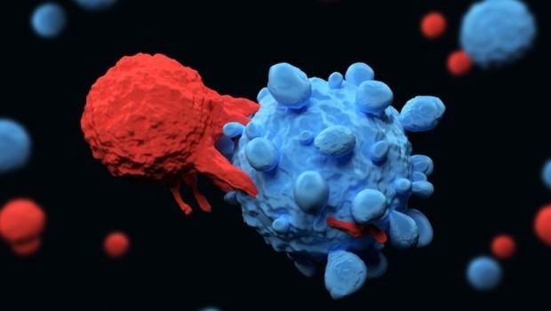 Testes da Aebi com ratos com células cancerígenas humanas tiveram sucesso  (Foto: Getty Images)