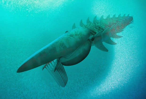 Versão artística feita por Marianne Collins mostra a criatura marinha Aegirocassis benmoulae, que viveu na Terra há 480 milhões de anos na região onde fica o Marrocos (Foto: Marianne Collins/ArtofFact/AP)