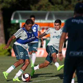 Jogo contra RB Brasil vira teste para o Palmeiras antes de intensa sequência
