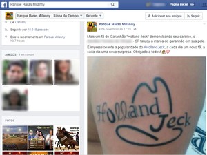 Fã fez até tatuagem em homenagem a Holland Jeck (Foto: Reprodução/ Facebook)
