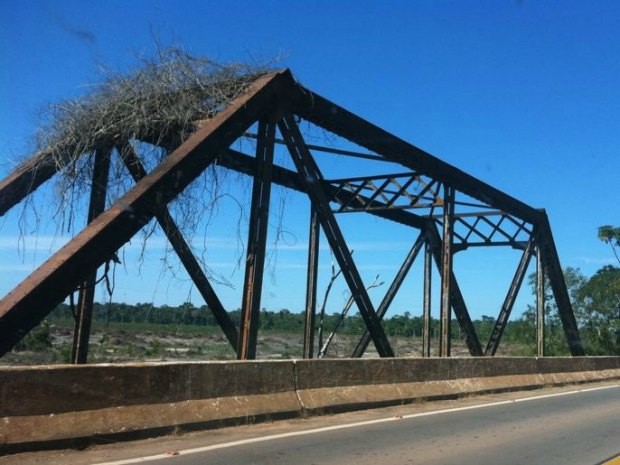 Ponte do Rio Mutum-Paraná foi alteada para não ser destruída com cheia de 100 anos (Foto: Palloma Pires/Divulgação)
