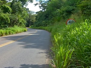 Mato alto esconde placas de sinalização na PA-457, em Santarém (Foto: Reprodução/TV Tapajós)