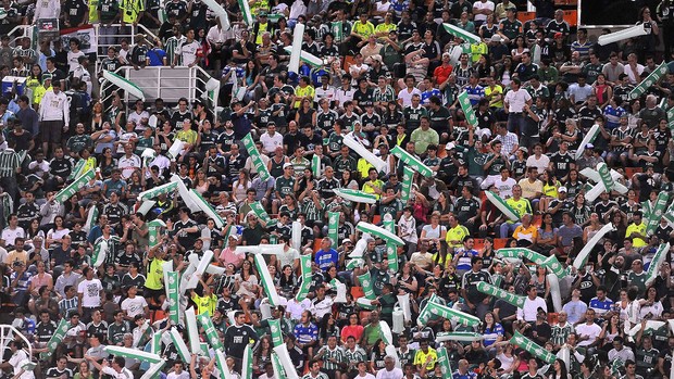 Torcida, Palmeiras x Santos (Foto: Marcos Ribolli / Globoesporte.com)