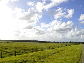 Relatorio Cita 28 Impactos Ambientais Para Fabrica Da Bmw Em Sc Santa Catarina G1