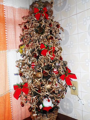 G1 - Artesã de Uberaba cria enfeites de Natal com bucha vegetal e coqueiro  - notícias em Triângulo Mineiro
