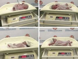 'Ganhei, não comprei', brinca pai de quadrigêmeos em SP (Divulgação/Antoninho da Rocha Marmo)