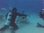 Mergulhadores se arriscam e alimentam tubarões na boca