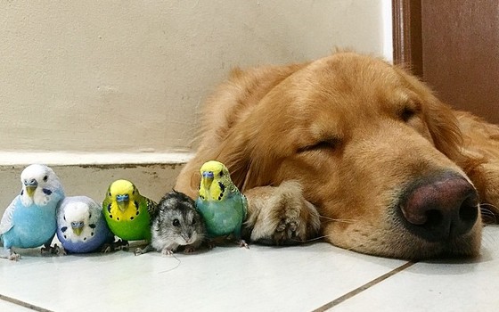 Aqui a turma toda junta (Foto: Reprodução/Instagram)