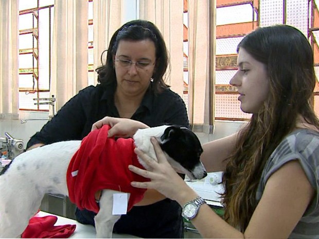 Ariane escolhendo roupinhas para sua cachorrinha July, de 7 anos.  (Foto: Reprodução/EPTV)