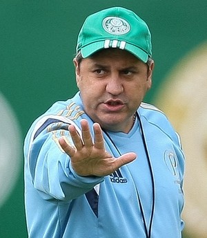 “Bombeiro” em 2012, Kleina retorna à Série A com Verdão remodelado