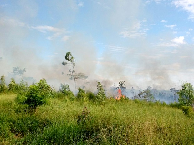 Corpo de Bombeiros foi acionado por volta das 13h30 desta sexta-feira (24) (Foto: Stephanie Fonseca/G1)