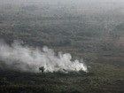 Contra queimadas, Ministério declara estado de emergência ambiental