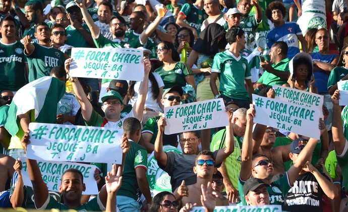 Vitória x Palmeiras Chapecoense (Foto: Romildo de Jesus/Futura Press)