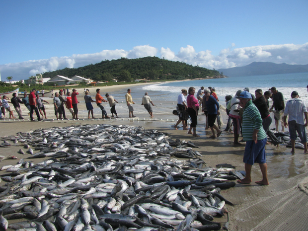Praia da Lagoinha, no Norte da de Florianópolis, tem pesca artesanal de tainha (Foto: Mariana Faraco/G1)