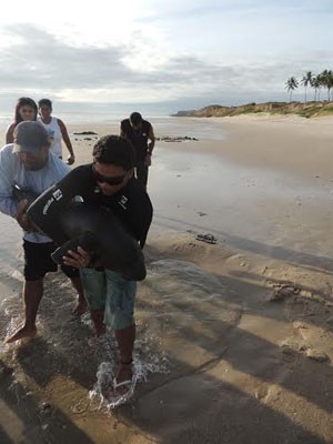 Pescadores ajudaram a salvar o animal encalhado (Foto: Acervo/Fundação Mamíferos Aquáticos)