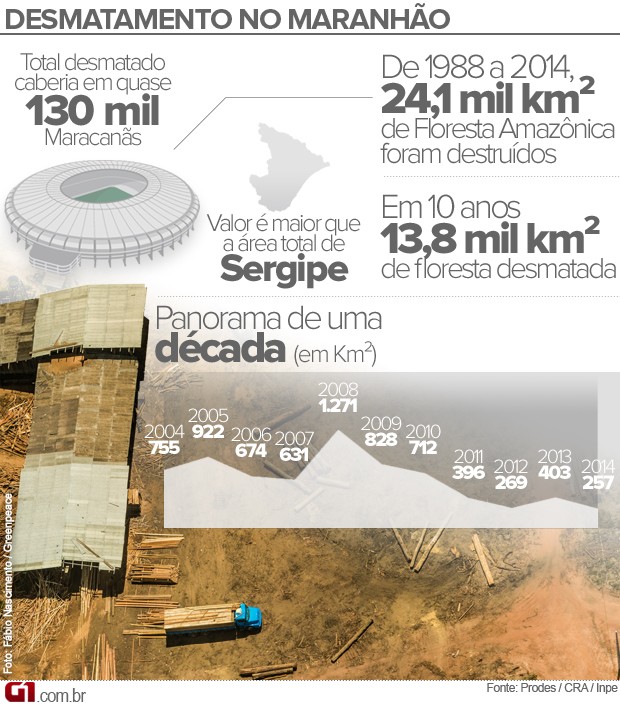 Dados sobre o desmatamento no Maranhão (Foto: G1)
