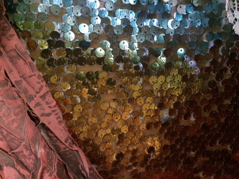 Com a crise, carnavalescos têm dificuldade de encontrar materiais importados, como tecido paetê (Foto: Alba Valéria Mendonça/ G1)