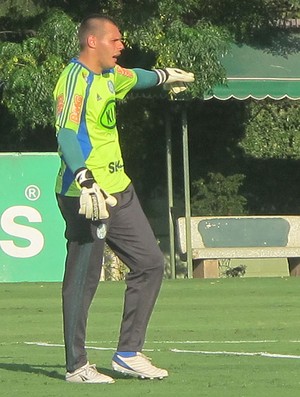 Deola do Palmeiras (Foto: Diego Ribeiro / Globoesporte.com)