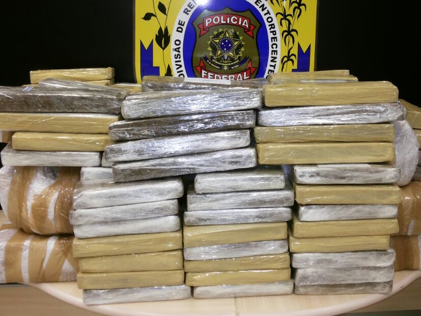Apreensão 256kg de maconha Bahia (Foto: Divulgação/Polícia Federal)