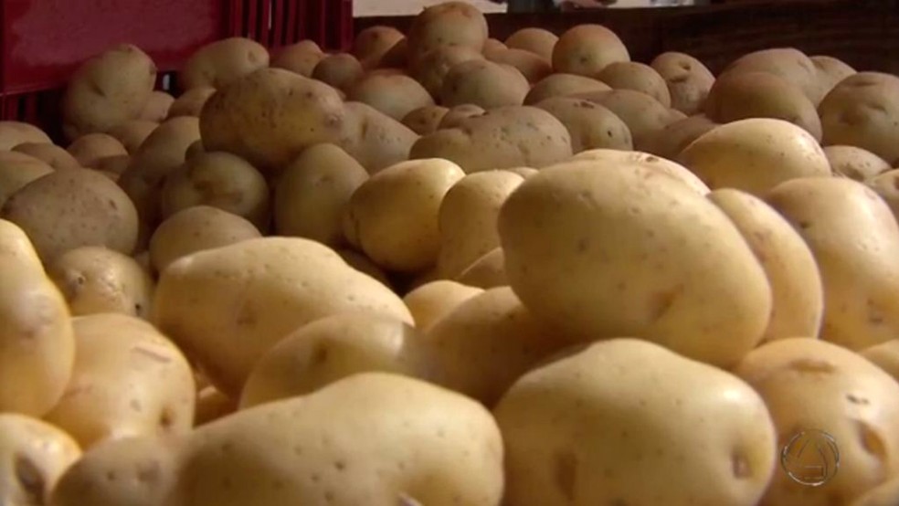Australiano passou um ano comendo só batatas (Foto: Reprodução/TV Morena)