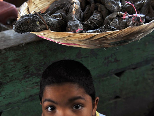 Criança em mercado onde são vendidos os garrobos, tipo de Iguana usada em sopas na Nicarágua (Foto: Hector Retamal/AFP)