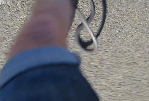 Jono Roberts filmou o momento em que ele levou uma mordida na cobra (Foto: Reprodução/Facebook/Jono Roberts)