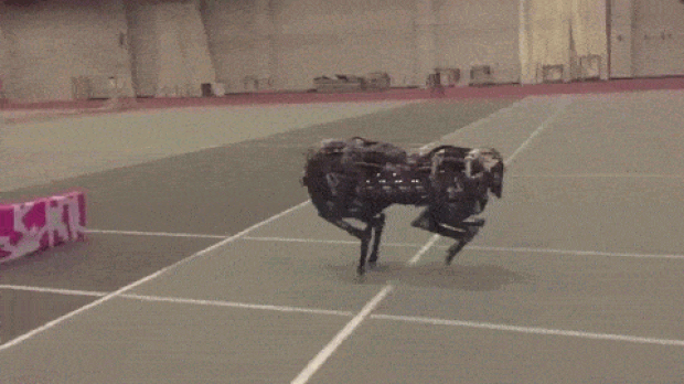 Robô do MIT consegue pular obstáculos no meio da corrida. (Foto: Reprodução/YouTube)