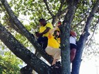 Regina Duarte sobe em árvore e faz selfie durante manifestação