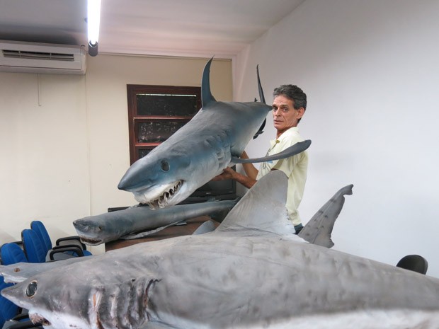 Nelson segura um tubarão que pesa pouco mais de um quilo, mas que já pesou cerca de 200. (Foto: Silvio Muniz/G1)