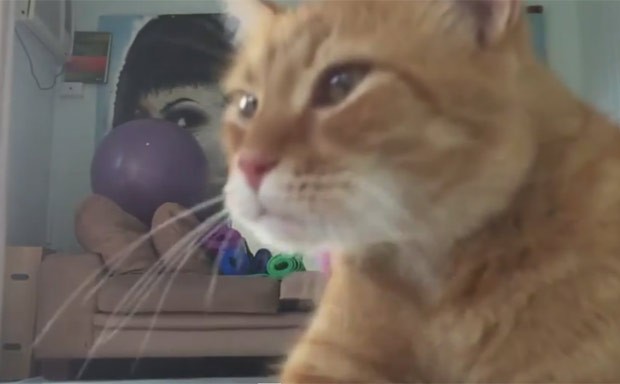 Felino surgiu na frente da câmera e atrapalhou gravação de exercício de ioga (Foto: Reprodução/YouTube/Snoky Hootan) Felino surgiu na frente da câmera e atrapalhou gravação de exercício de ioga (Foto: Reprodução/YouTube/Snoky Hootan)