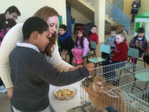 Nice ensina menino a alimentar coelhos (Foto: Dayanne Rodrigues/RBS TV)