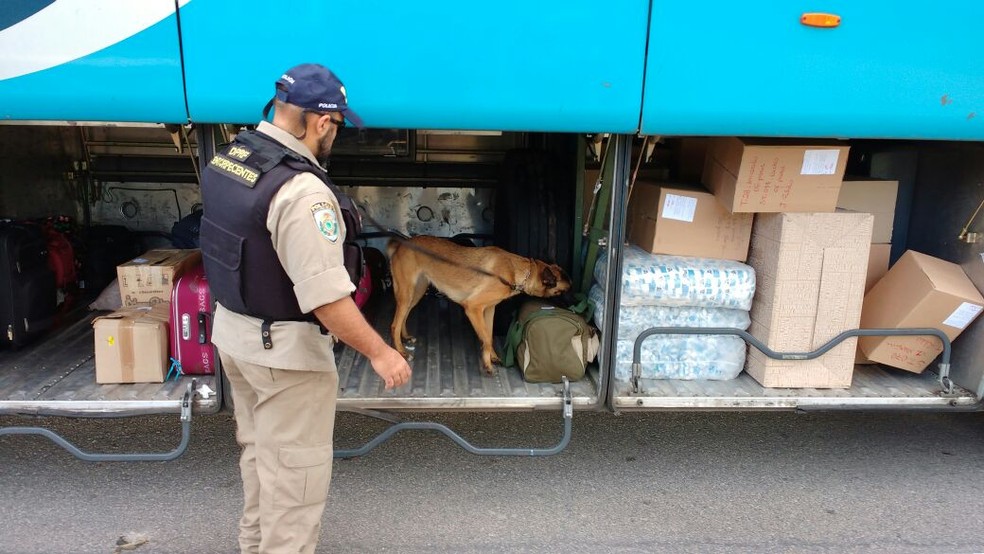 Patrulheiros inspecionaram veículos com ajuda de cães (Foto: Ascom PRF)