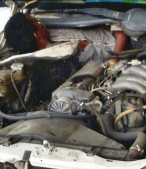 Polícia espanhola acha imigrante escondido em motor de carro (Reprodução)
