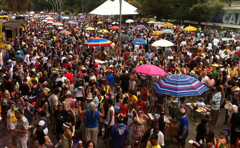 Carnaval Brasilia 06 (Foto: Kathia Mello / G1)