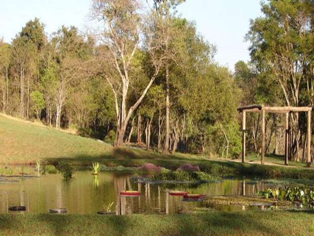 Lago foi criado especialmente para receber novas plantas em Bauru, SP. (Foto: Divulgação/Prefeitura)