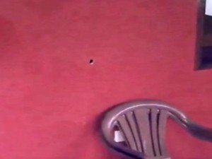 Polícia Federal divulgou fotos da casa do jornalista em Glória do Goitá, com marcas de bala em paredes (Foto: Divulgação / PF)