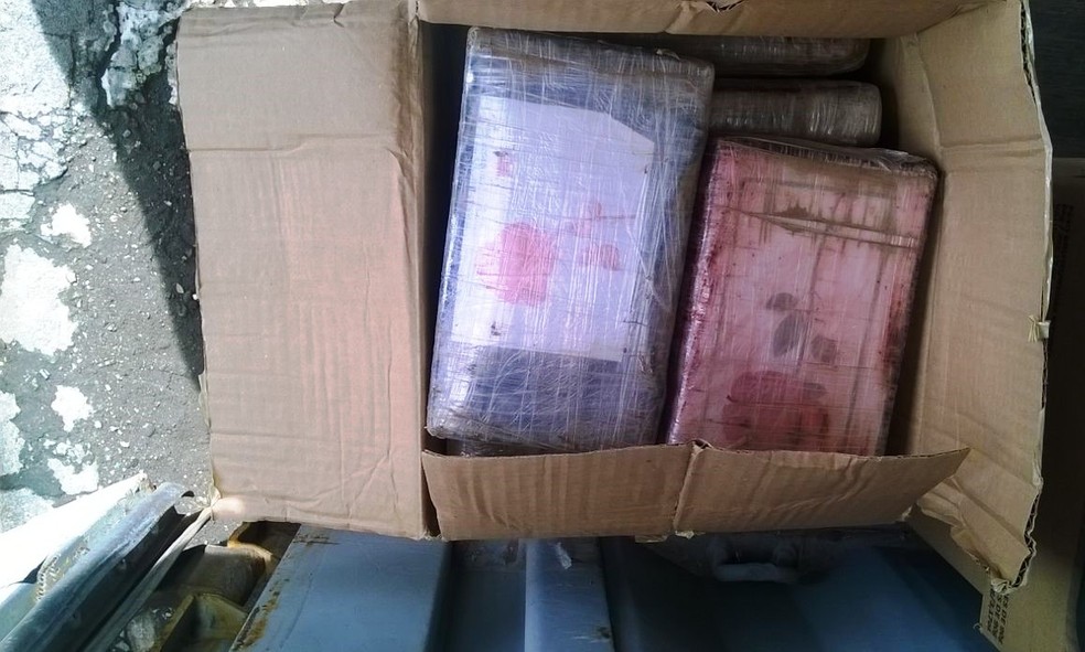 Receita apreendeu mais de 200 kg de cocaína no Porto de Santos na terça-feira (18) (Foto: Divulgação/Receita Federal)