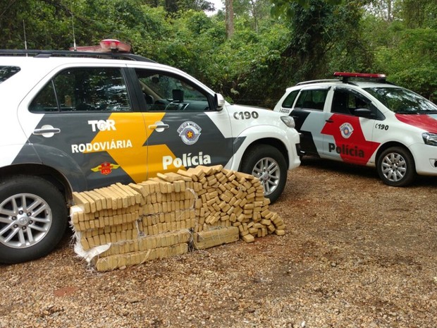 Droga apreendida pela polícia (Foto: Divulgação/Polícia Rodoviária)