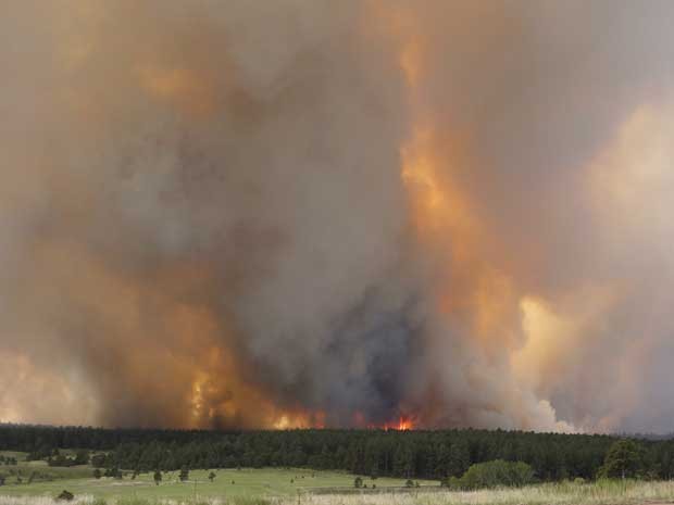 Coroas de fogo são vistas durante incêndio na Floresta Negra nesta quarta-feira (12) (Foto: Ed Andrieski/ AP)