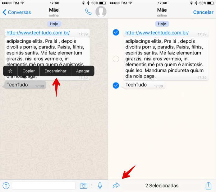 Encaminhando mensagens no WhatsApp para iPhone (Foto: Reprodução/Helito Bijora)