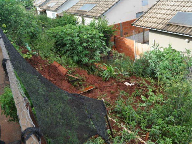 Plantas nÃ£o sustentaram a terra e foram arrastadas (Foto: Arquivo Pessoal/Marcos Alves)