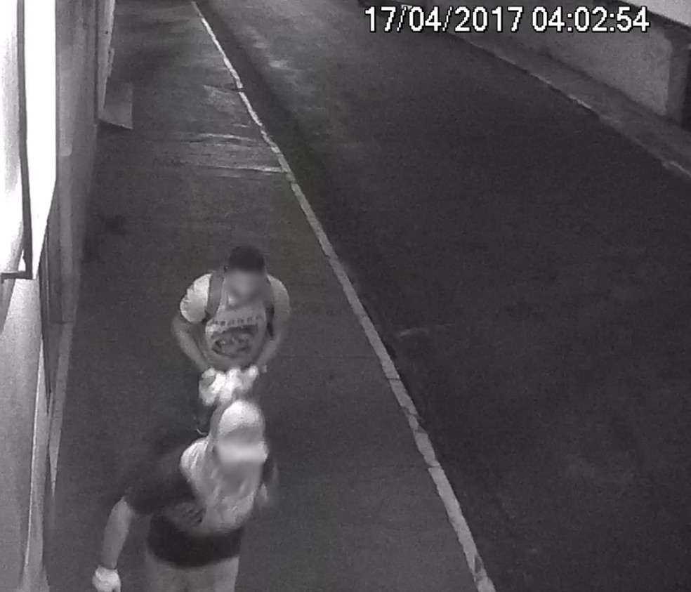Criminosos agiram em duas datas, segundo a Polícia Civil (Foto: Polícia Civil/Cedida)