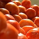 Preço do  tomate acumula alta de 70%  em 2013 (Reprodução/TV Globo)
